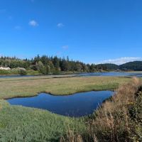 Lower Oak Bay Campground ico