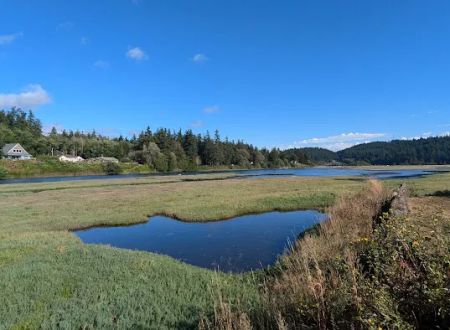 Lower Oak Bay Campground