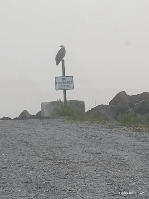 Lower Oak Bay Campground Picture 7