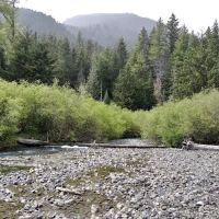 Camp Handy ico