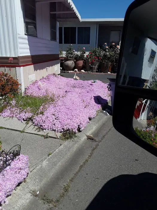 Olympia of Vallejo LLC Picture 4