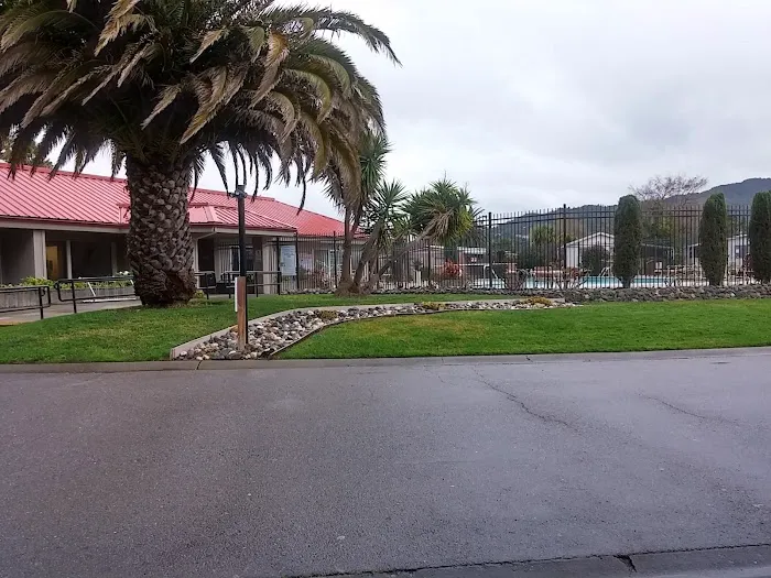Contempo Marin Picture 3