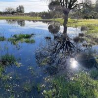 Marin Valley Mobile Country Club ico