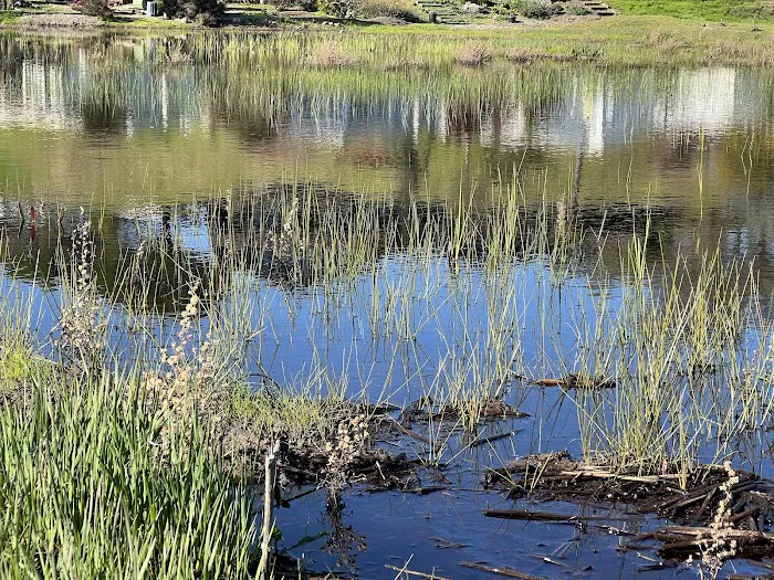 Marin Valley Mobile Country Club Picture 7