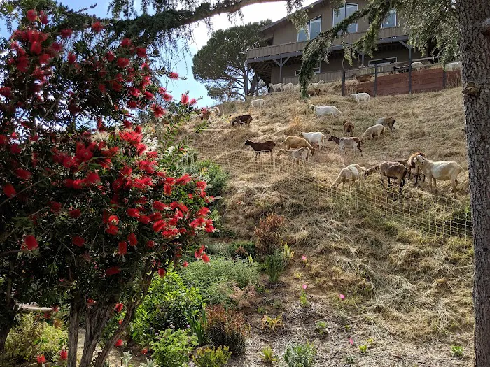 Marin Valley Mobile Country Club Picture 9