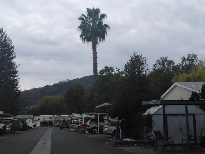 Los Robles Mobile Home Park Picture 5