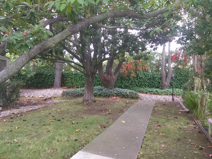 Los Robles Mobile Home Park Picture 6