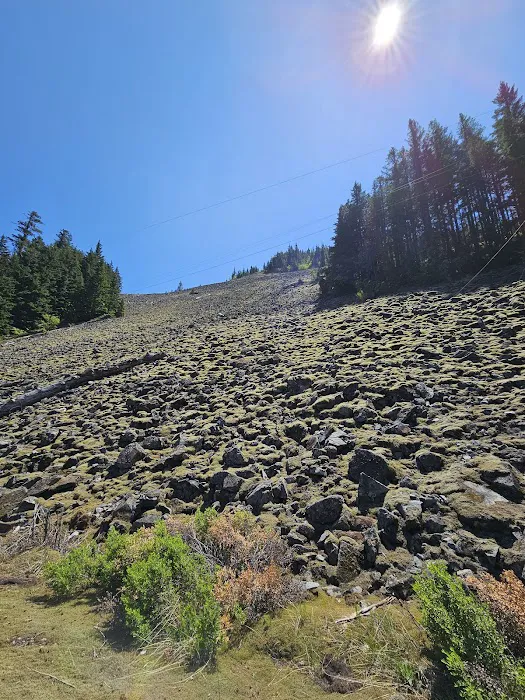 Alice Creek Campground Picture 10