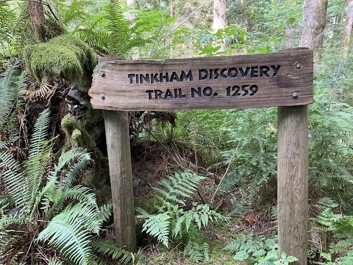 Tinkham Campground Picture 6