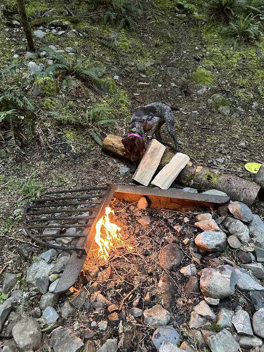 Tinkham Campground Picture 5
