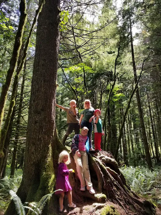 Tinkham Campground Picture 9