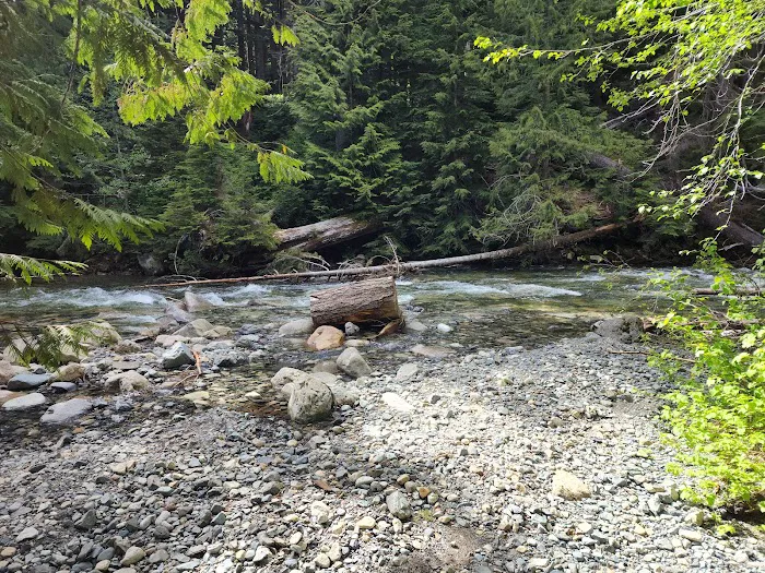 Denny Creek Campground Picture 3