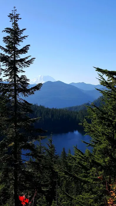 Denny Creek Campground Picture 7