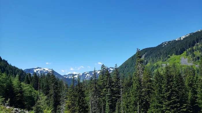 Denny Creek Campground Picture 8