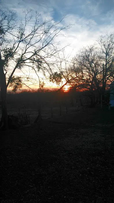 Thorp Travel Trailer Park Picture 10