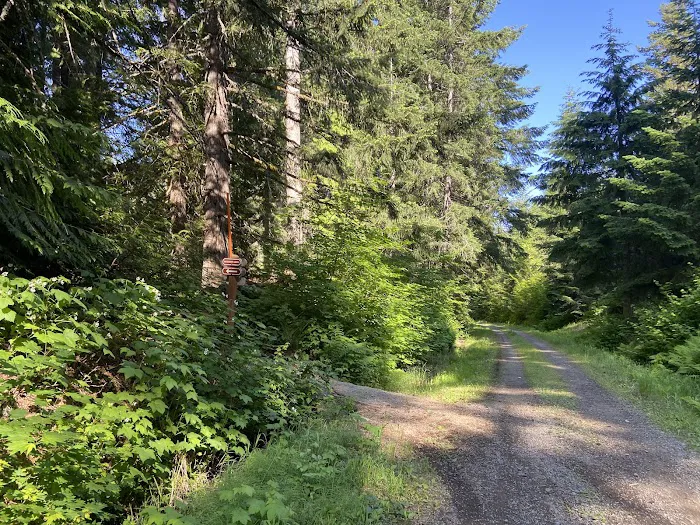 Roaring Creek Campground Picture 7