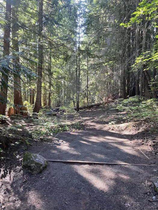 Roaring Creek Campground Picture 8