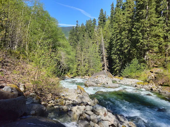 Miller River Group Campground Picture 2