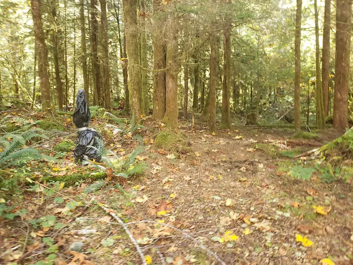 Miller River Group Campground Picture 5