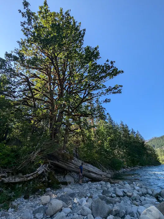 Miller River Group Campground Picture 6