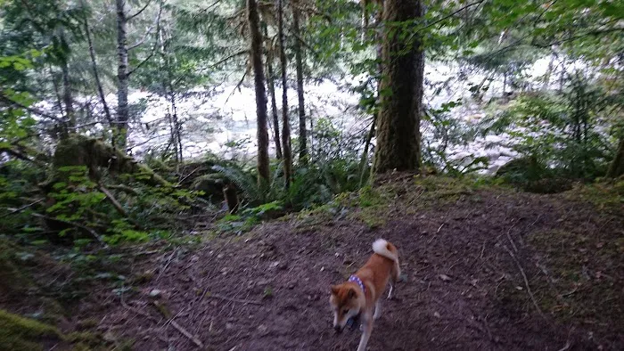Miller River Group Campground Picture 9