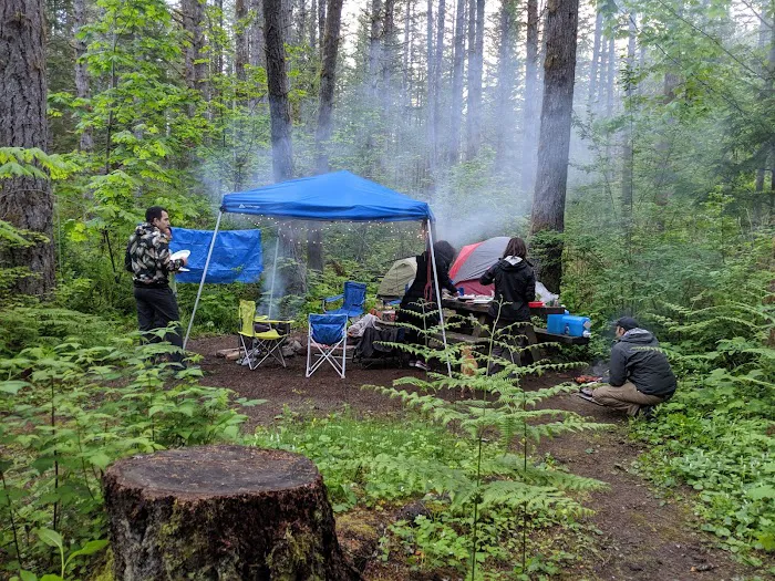 Beckler River Campground Picture 6
