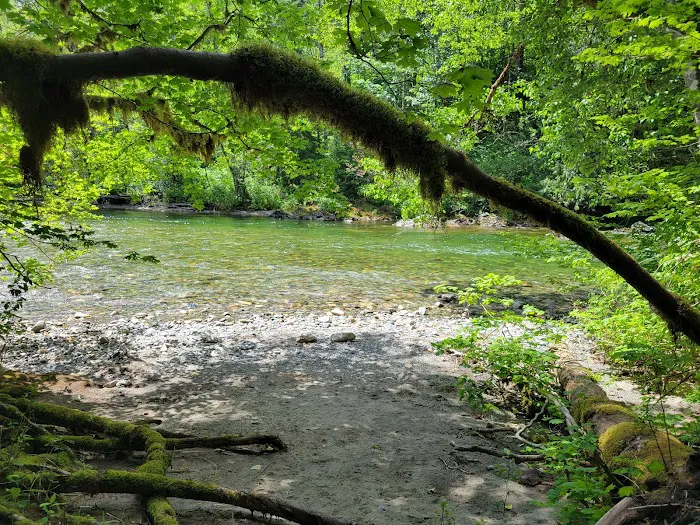 Beckler River Campground Picture 9