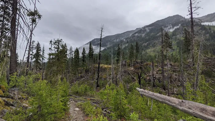 Waptus Lake Campsites Picture 2