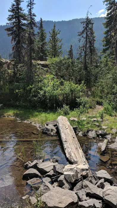 Waptus Lake Campsites Picture 9