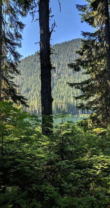 Owhi Campground Picture 6