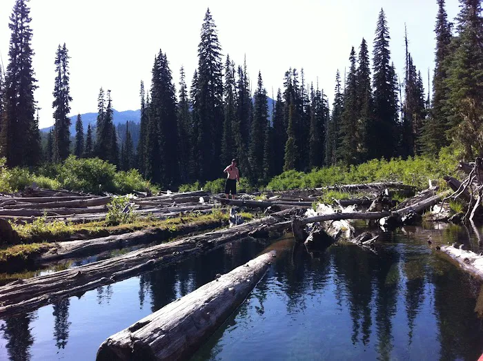 Owhi Campground Picture 7