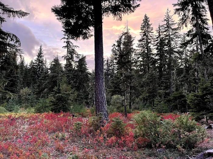 Kachess Campground Picture 6