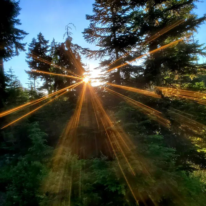Kachess Campground Picture 10