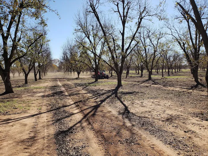 Pecan Haven R.V. Campground Picture 1