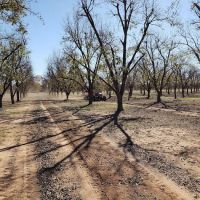 Pecan Haven R.V. Campground ico