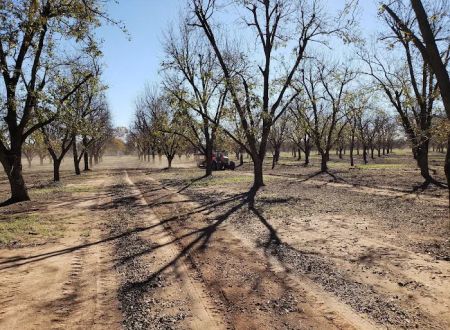 Pecan Haven R.V. Campground