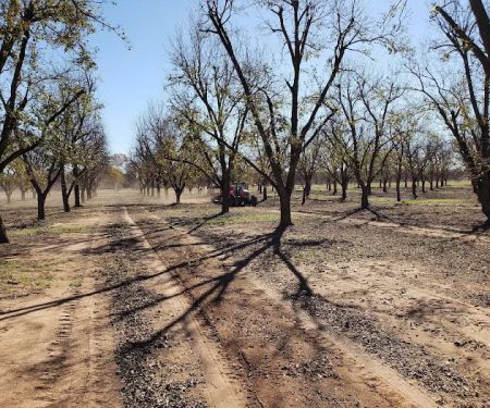 Pecan Haven R.V. Campground
