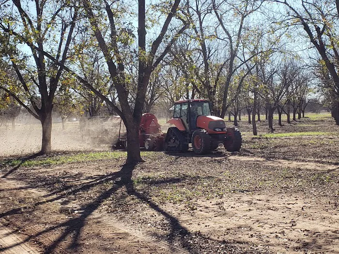 Pecan Haven R.V. Campground Picture 5