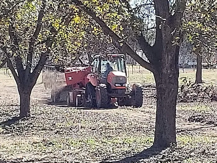 Pecan Haven R.V. Campground Picture 4