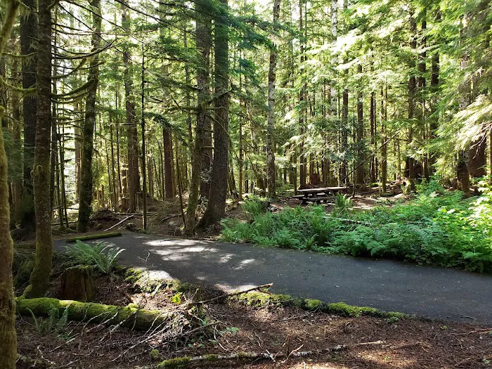 Troublesome Creek Campground Picture 5