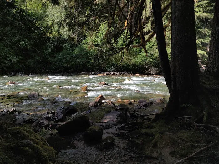San Juan Campground Picture 1