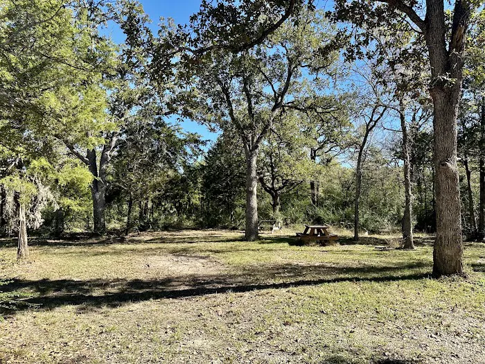 Jones Road RV Park Picture 5