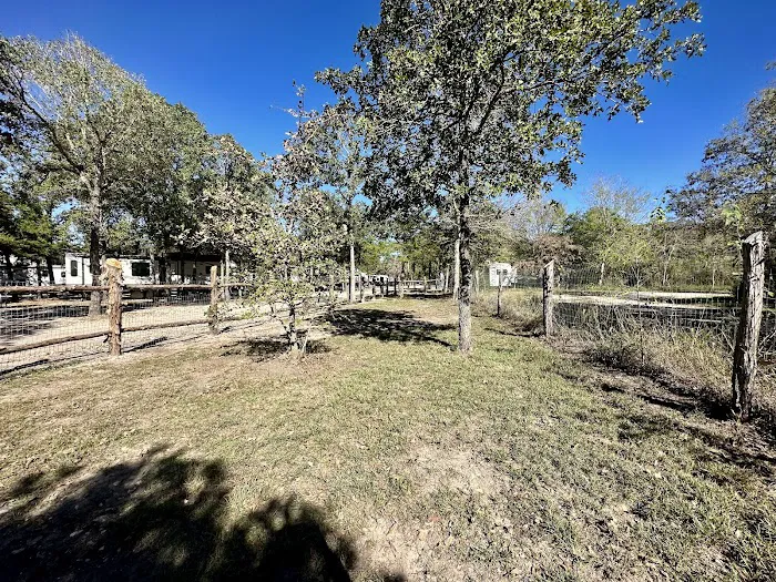 Jones Road RV Park Picture 7