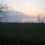 Lakeview Mobile Home Park