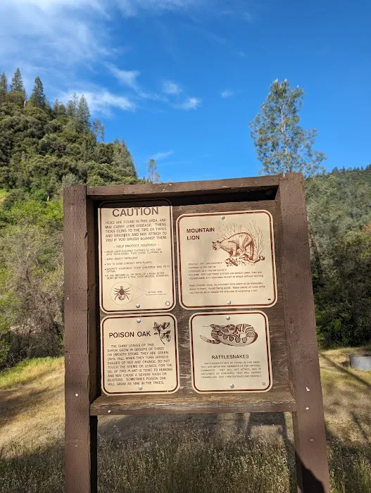 Ruck-a-Chucky Campground Picture 2