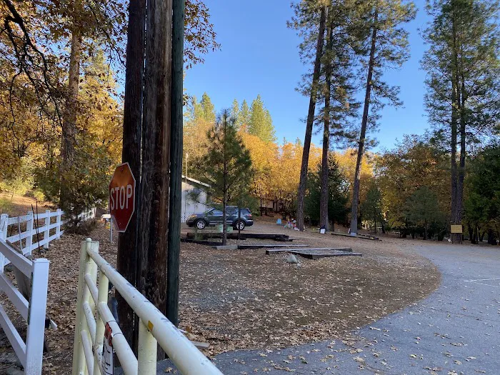Capital Mountain Camp Picture 2