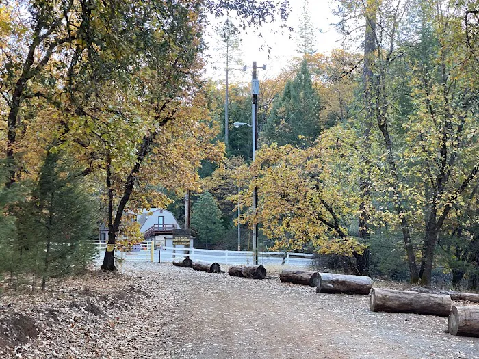 Capital Mountain Camp Picture 4