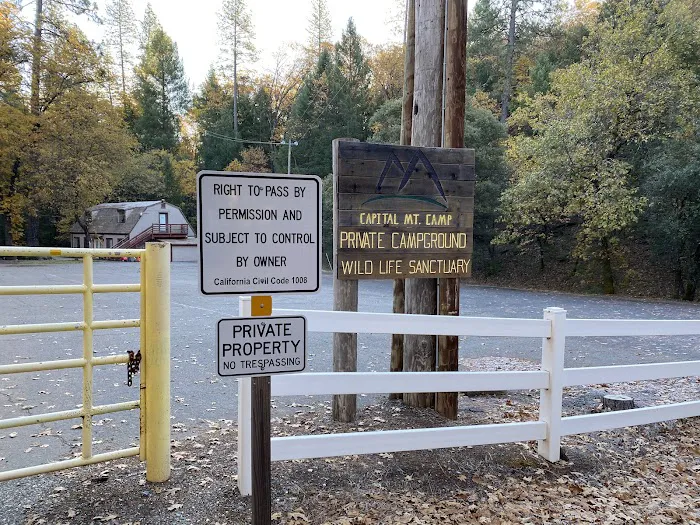 Capital Mountain Camp Picture 10