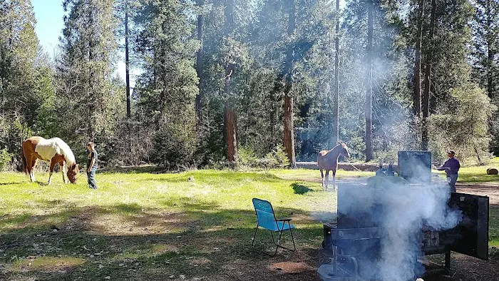 Dru Barner Campground Picture 2