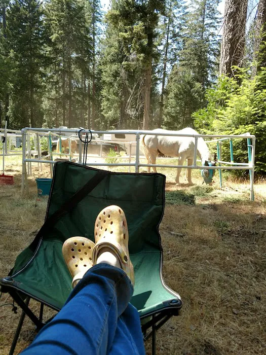 Dru Barner Campground Picture 9